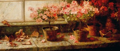Azaleas floreciendo junto a la ventana de Marie Egner